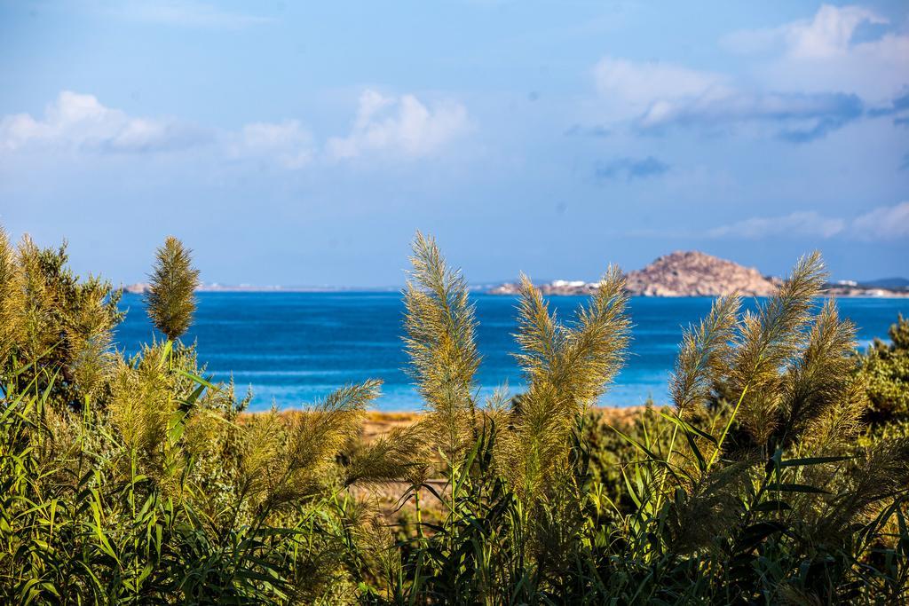 Villa Alyko Aliko Beach ภายนอก รูปภาพ